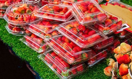 Fruit Packing Container
