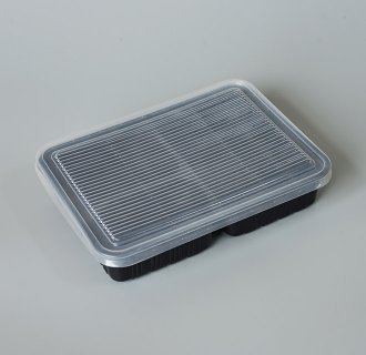Bento Container MX-R009