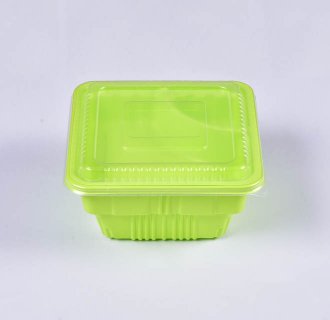 Bento Lunch Container MX-R85