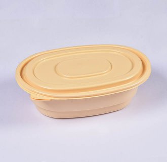 Disposable Children Dumpling tray MX-R91