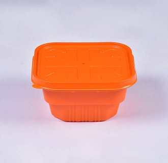 Plastic Lunch Container MX-R50