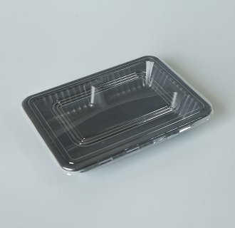 Fast Food Container MX-R020