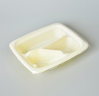 Plastic lunch container MX-R029