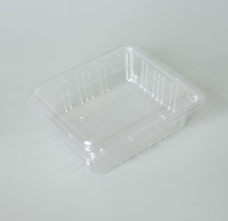 Plastic Fruit Container MX-S037
