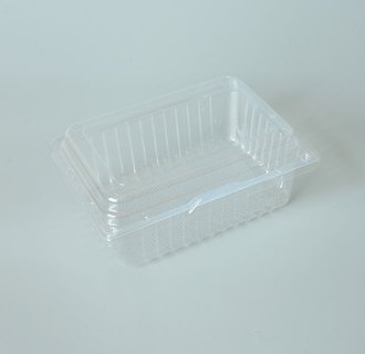 Fruit Container MX-S081