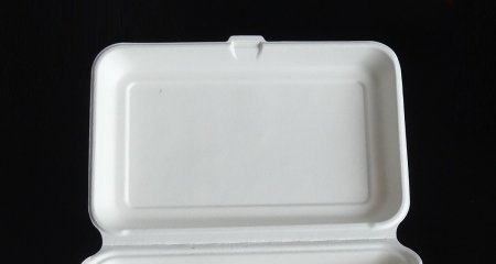 Biodegradable Sugarcane Bagasse products have been developed!!!