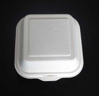 Biodegradable Food Container MX-BG003