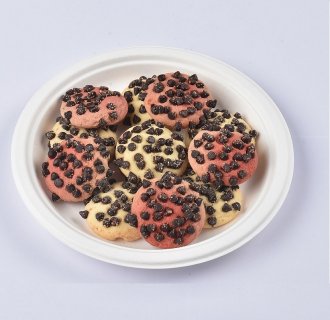 biodegradable disposable sugarcane bagasse plates restaurant take away food container MX-BGT001