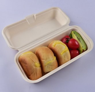 Sugar Cane Bagasse Biodegradable Sushi Takeaway Box Rectangular Disposable Food Container For Fast Food MX-BGR003