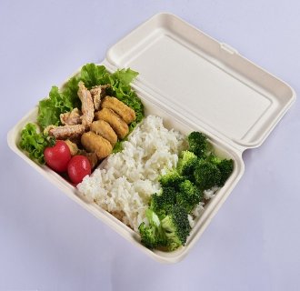 biodegradable pulp packaging food container set sugarcane bagasse disposable lunch box MX-BG006
