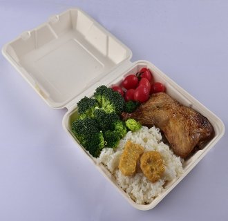 Disposable Sushi Tray Japanese Dinnerware Rectangular Platter Restaurant Bento Box With Cover MX-BGR005