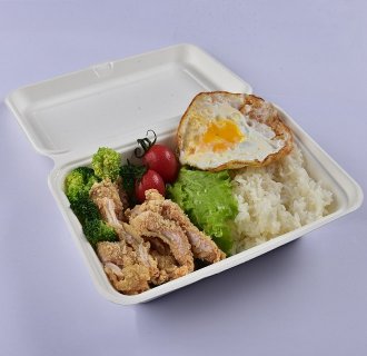 Biodegradable Disposable Directly Disposal Bento Lunch Box Food Containers MX-BGR002